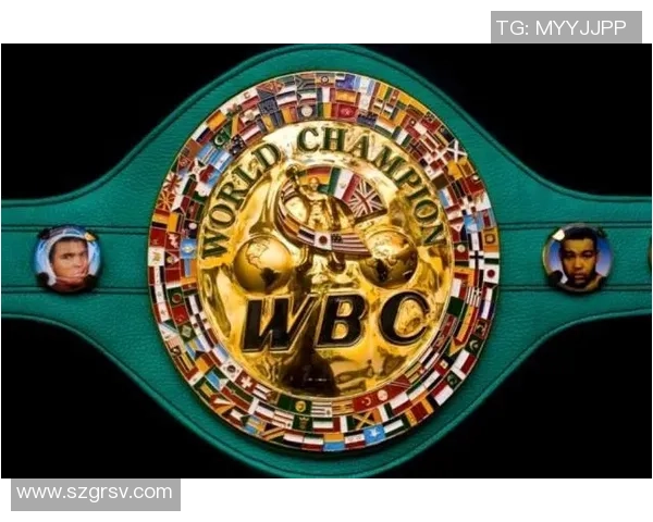 沃德利泄漏:下一年四月份的首场国际拳王卫冕战,自己有许多挑选